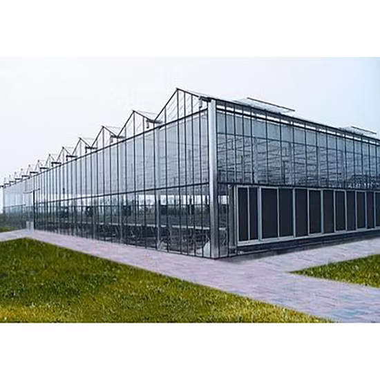Agricultural Venlo Greenhouse Polycarbonate/Glass Covering for Sale