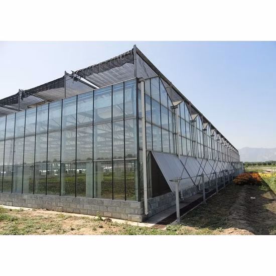 Agricultural Venlo Greenhouse Polycarbonate/Glass Covering for Sale