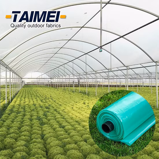 Agricultural Greenhouse Plastic Sheet Covering for Sale