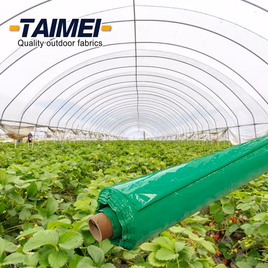 Agricultural Greenhouse Plastic Sheet Covering for Sale