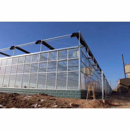 Serre agricole Venlo en polycarbonate/revêtement en verre à vendre